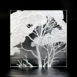 etchedMirror-glass0
